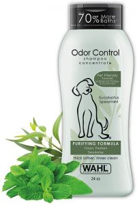 Dog Shampoo and Conditioner