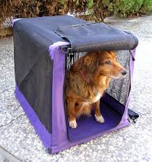 Best Dog Crates for Escape Artists