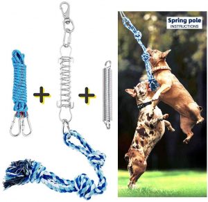 Trsmima Spring Pole Dog Rope Toys