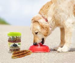 Top 3 Training Treats for Dogs with Sensitive Stomachs